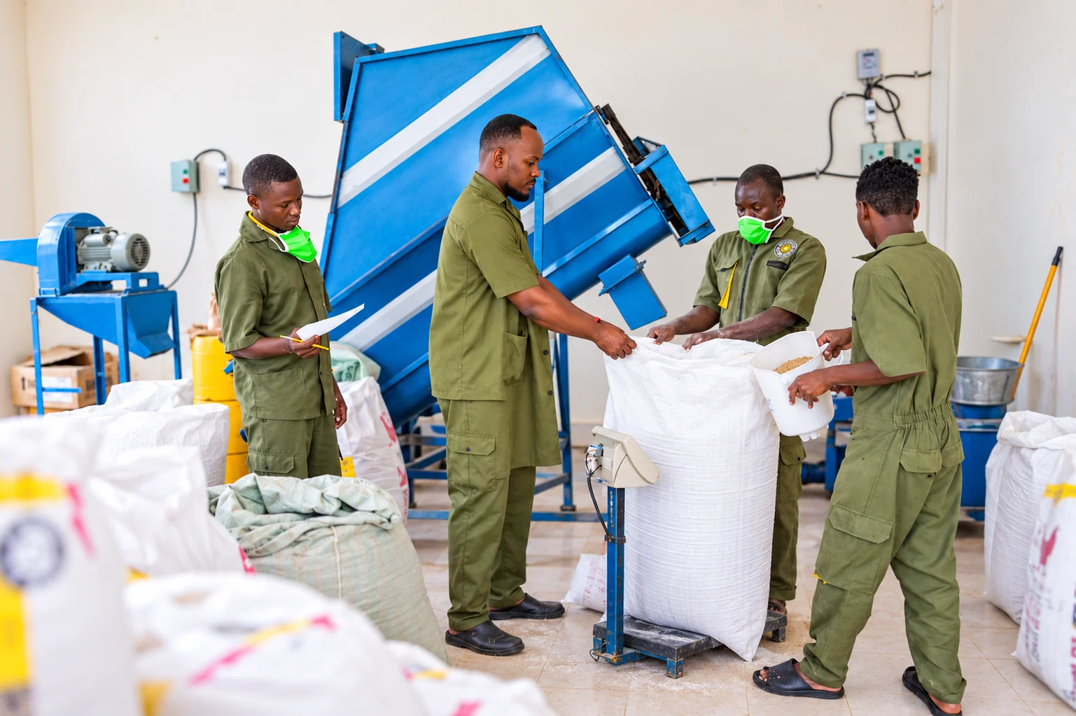 Afrifama feed team bagging mash beside the blue mixer.