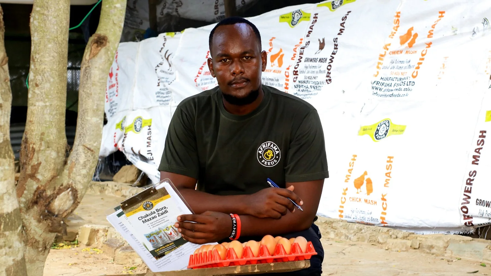 Afrifama team member seated with an egg tray and farm records.