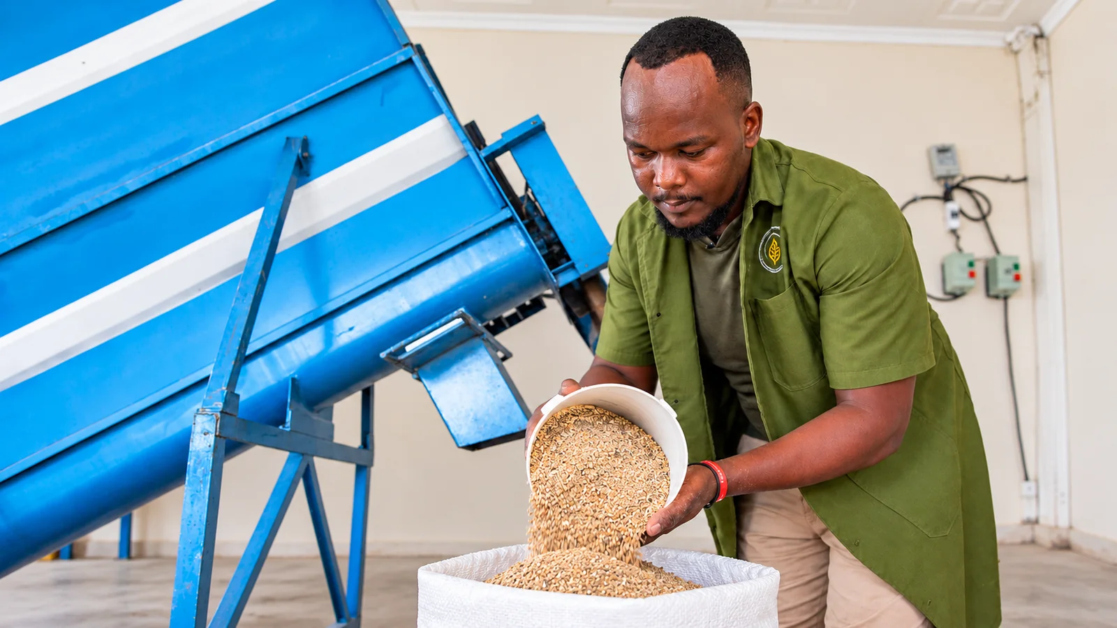 Afrifama team member handling poultry mash beside a blue feed mixer.
