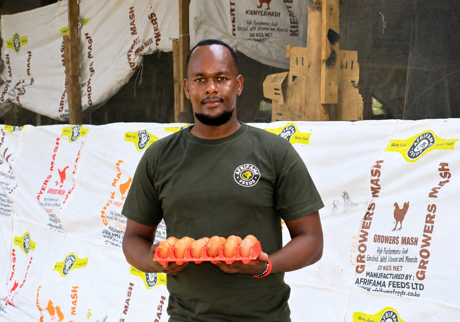 Afrifama team member holding an egg tray with branded feed bags behind him.